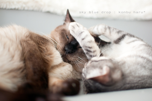 じいじとハル２