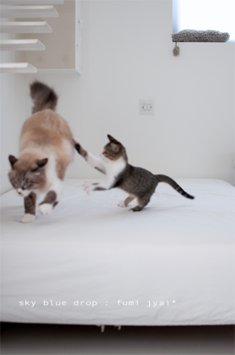 でっかいのんとちっこいのん１０