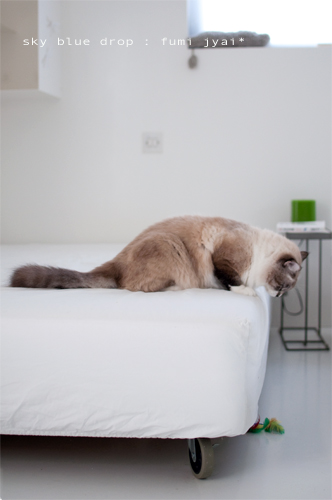 でっかいのんとちっこいのん６