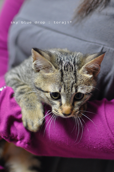 ちょっとまだビビってるかな?!