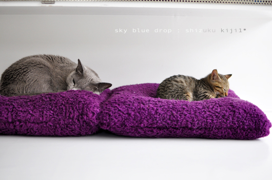 出発後。寒そう？見えるだけ？