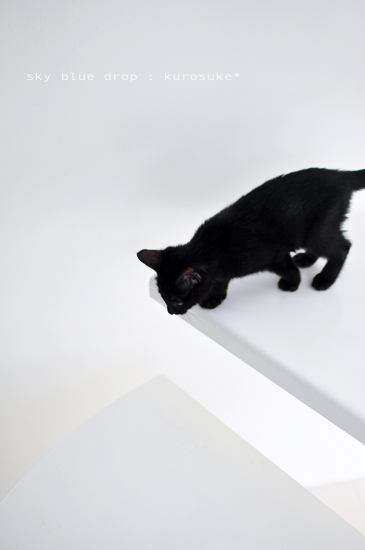 おっかなびっくり