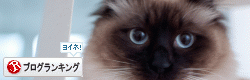 banner-11.gif