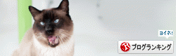 banner-19.gif
