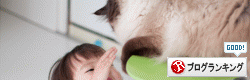 banner10.gif