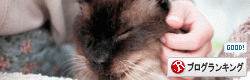 banner20.gif