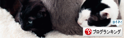 banner21.gif
