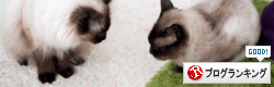 banner5.gif