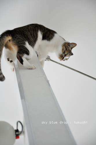 アクロバティック☆