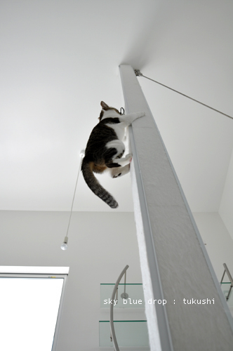 ミーン！ミーン！