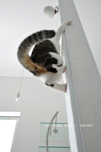 えっちらおっちら・・