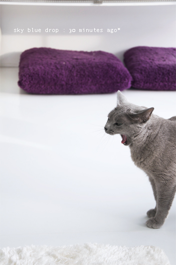 もうちょっと寝とけば～？！