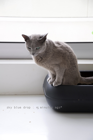 気合い入ってます