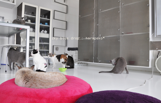 いつでもどうぞ☆準備オーケー