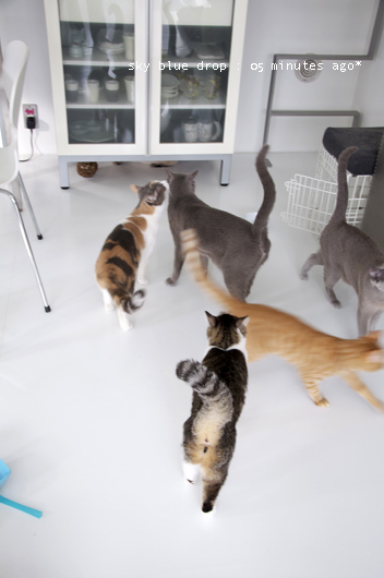 うそじゃないよあと5分