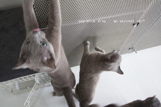 20秒・・10秒・９・８・・