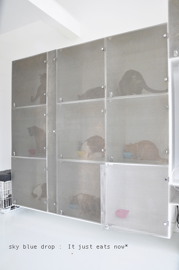 念願のお食事ちう～♪