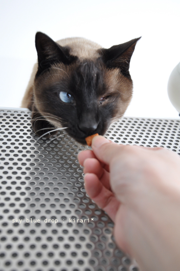 ジィィィィィィーー!