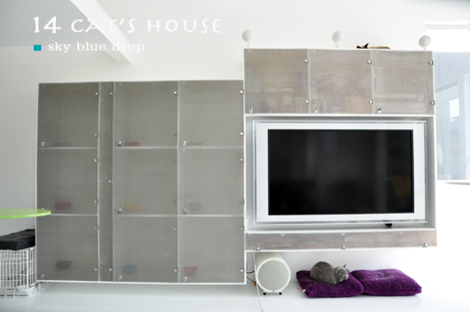 ネコマンション