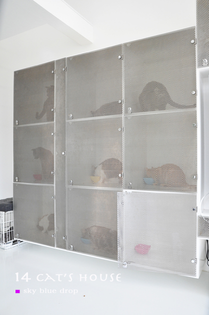 ガツガツムシャムシャポリポリ