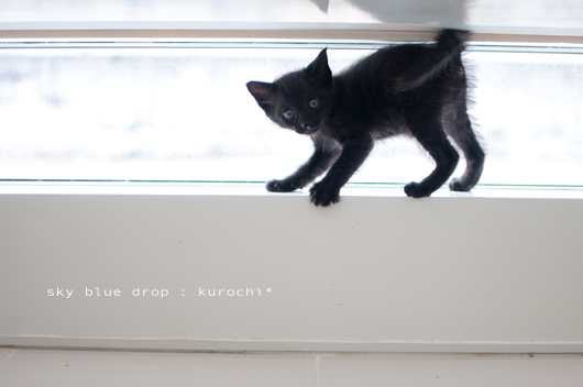 kurochi2.jpg