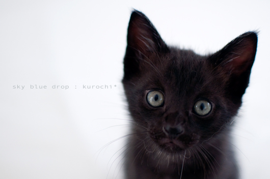 kurochi4.jpg