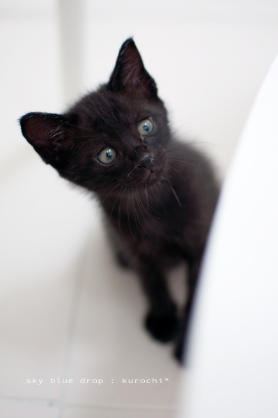 kurochi7.jpg