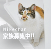 mikechan.gif