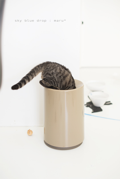 たぶんいいものが入っている３