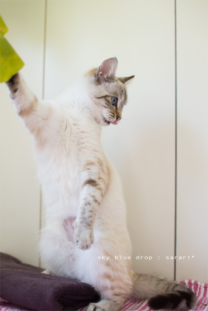 それそれそれダメ