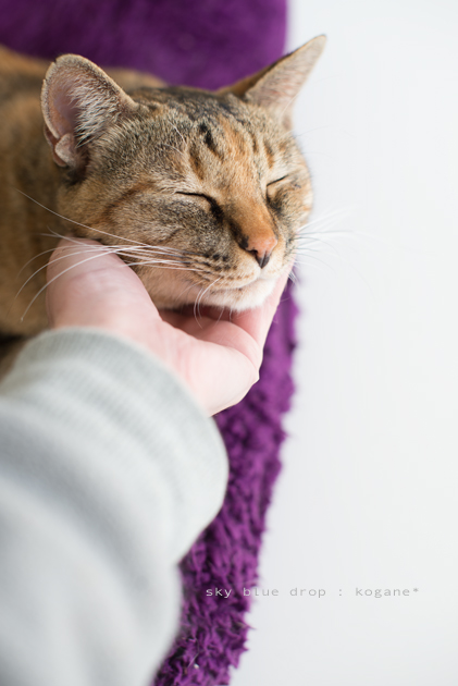 ゴロゴログルグル