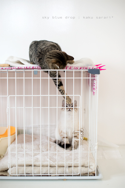 やる気見せてる