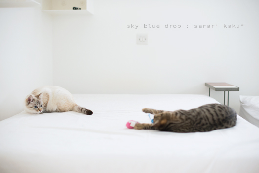 さらりんとかく2