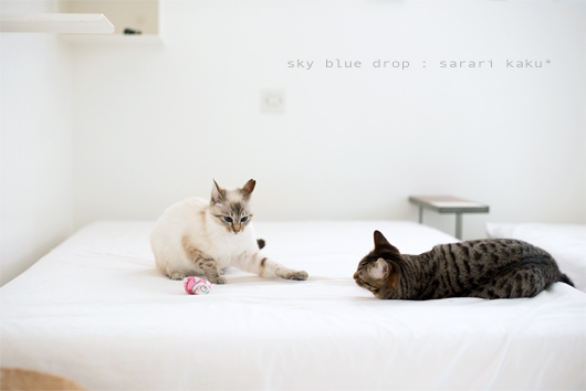 さらりんとかく4