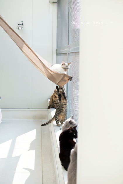 ちょっとやめてよー！