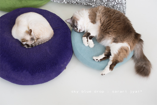 はみ出しちゃってまふ