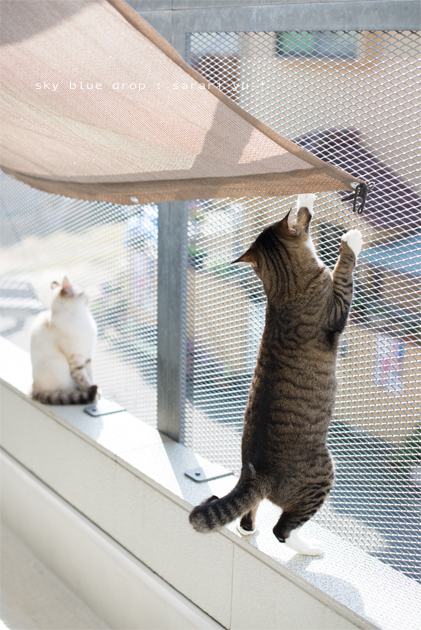 上がってるつもり