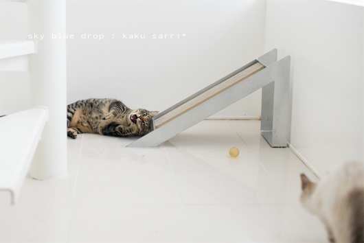 びびりすぎっ！