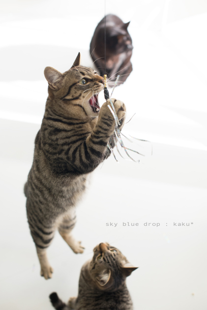 シアワセナヒビ２