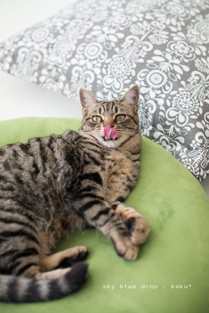 シアワセナヒビ８