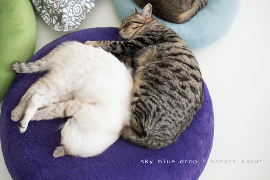 シアワセナヒビ９