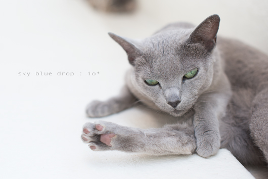 なんですと？？