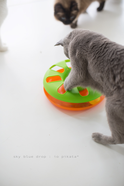 おあそびちう２