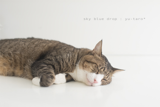 いい夢見てます