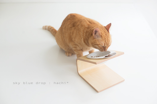 貫禄ありまくりボデー２