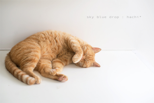 貫禄ありまくりボデー３