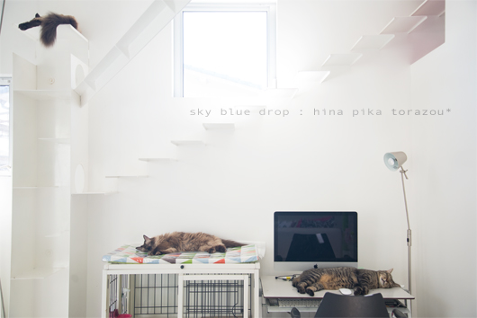 あやしいのもうおしとり