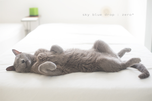 ゼロっちの開き１