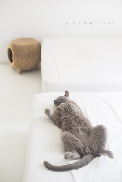 ゼロっちの開き２