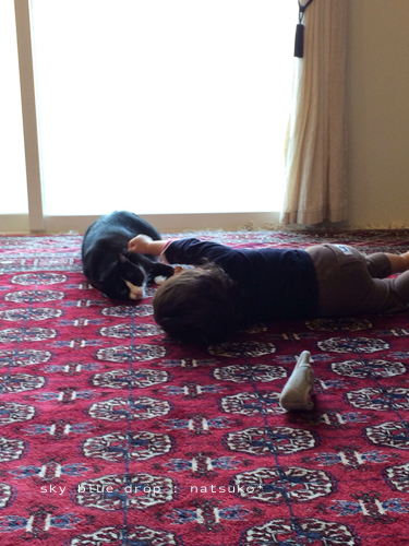 ポッチん便り４